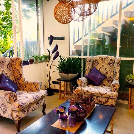 Hotel Waasala Leisure Anuradhápura Exteriér fotografie