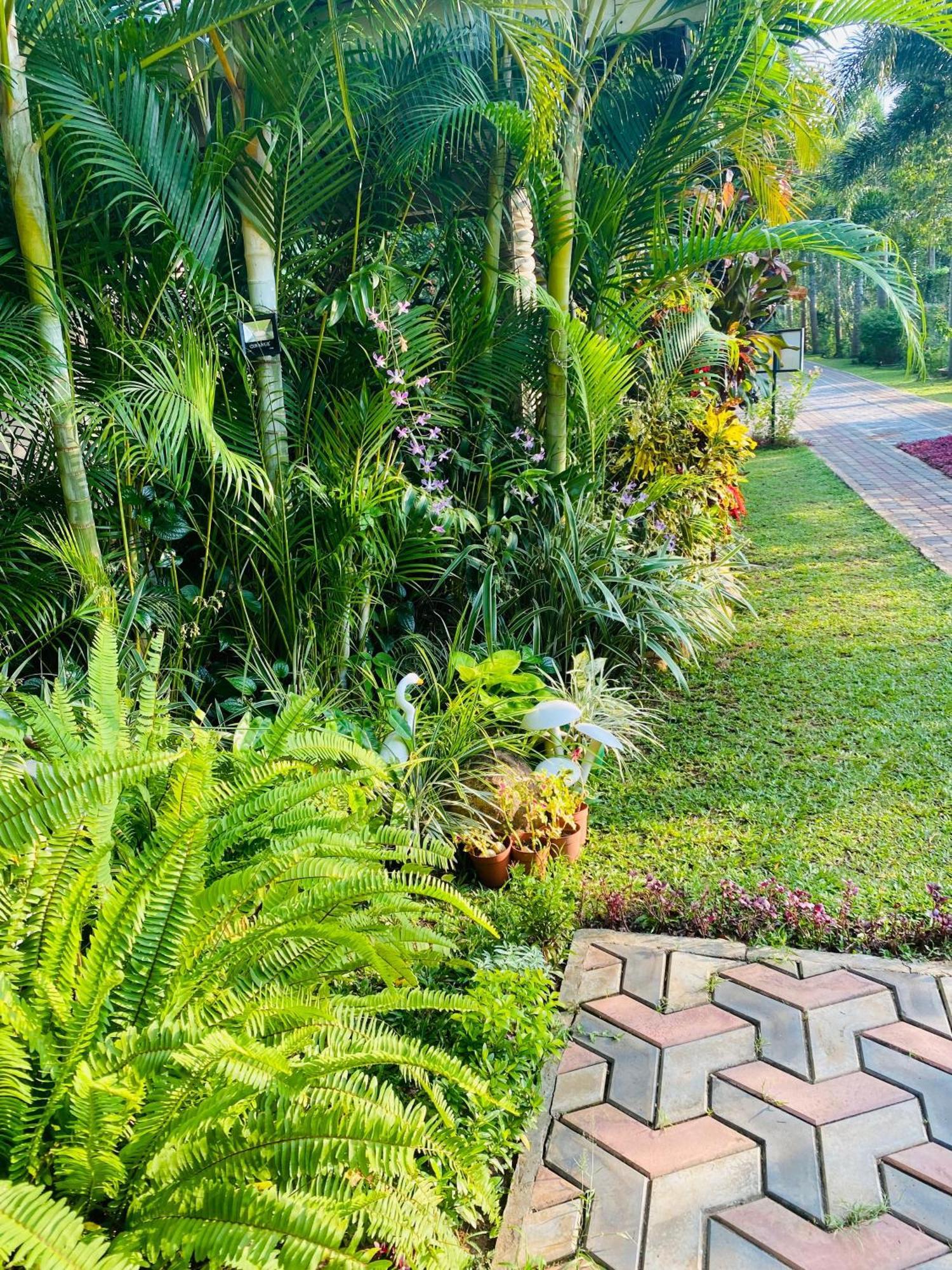 Hotel Waasala Leisure Anuradhápura Exteriér fotografie