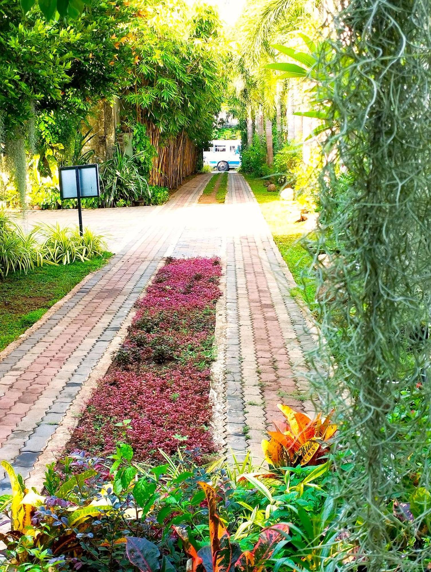 Hotel Waasala Leisure Anuradhápura Exteriér fotografie